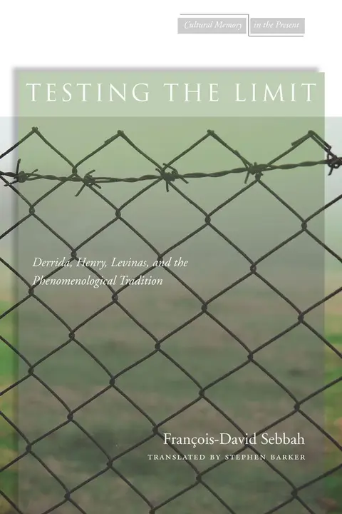 Cover of Testing the Limit