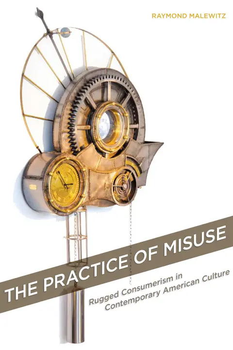 Cover of The Practice of Misuse