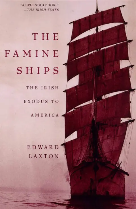 Cover of The Famine Ships