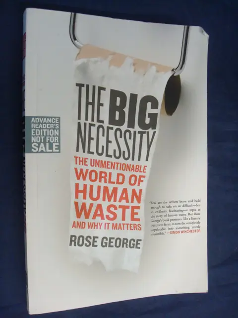 Cover of The Big Necessity