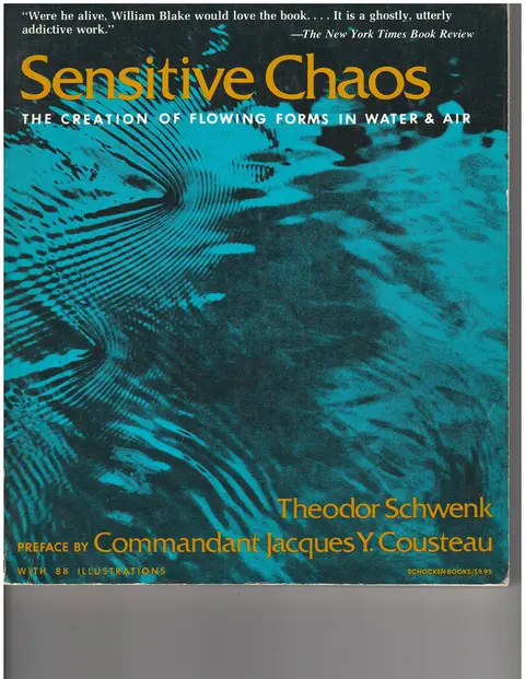 Cover of Sensitive Chaos