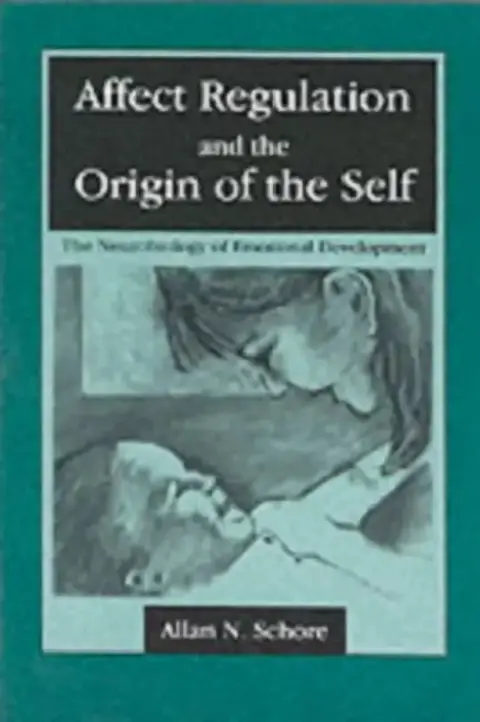 Cover of Affect Regulation and the Origin of the Self