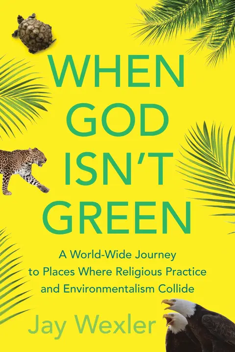 Cover of When God Isn't Green