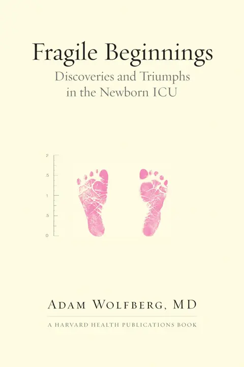 Cover of Fragile Beginnings