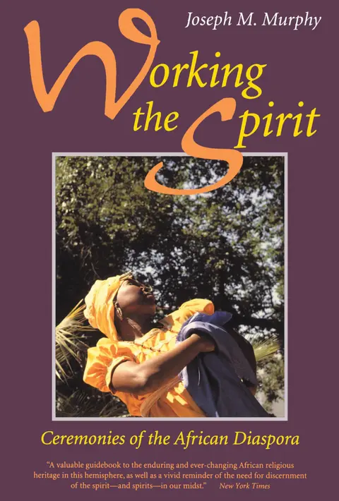 Cover of Working the Spirit