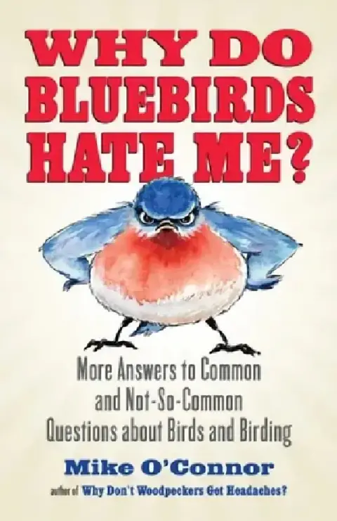 Cover of Why Do Bluebirds Hate Me?
