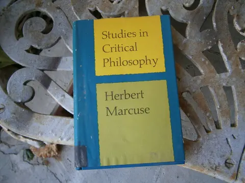 Cover of Studies in critical philosophy