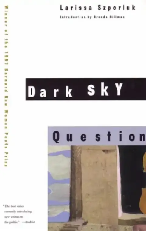 Cover of Dark Sky Question