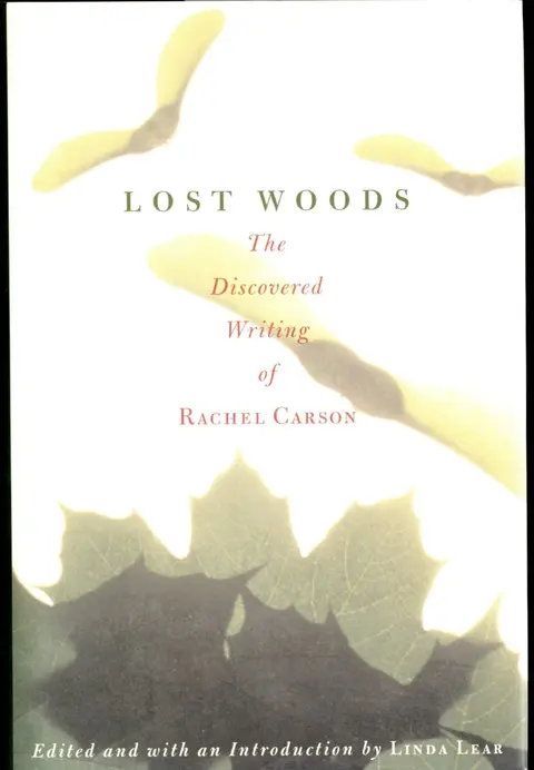 Cover of Lost Woods