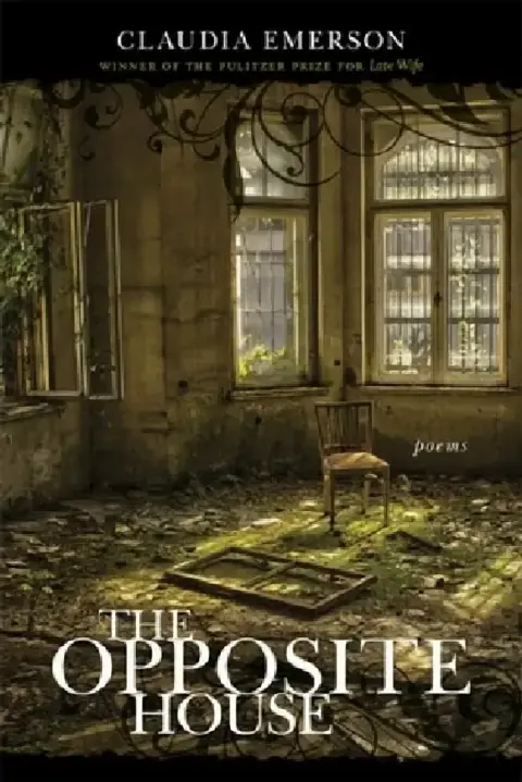 Cover of The Opposite House