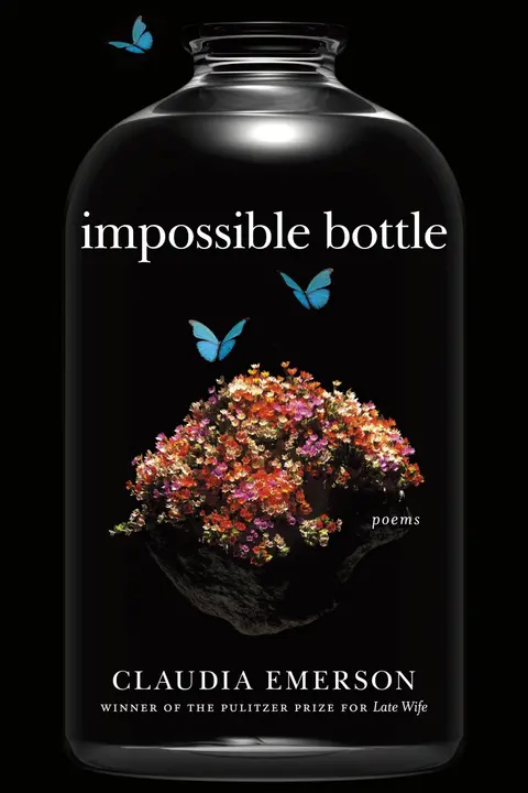 Cover of Impossible Bottle