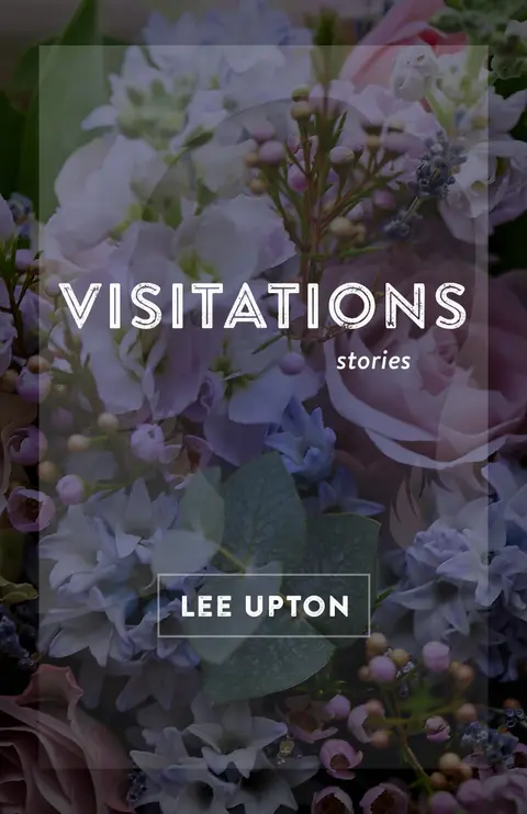 Cover of Visitations