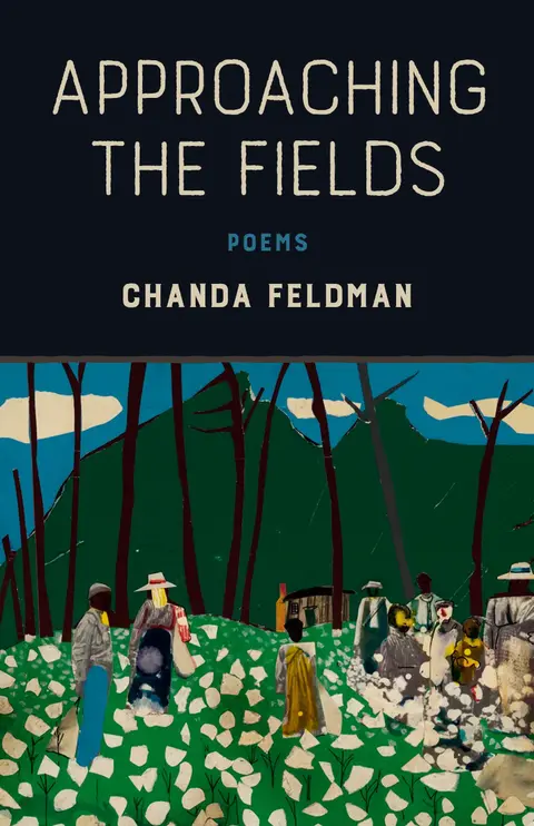 Cover of Approaching the Fields