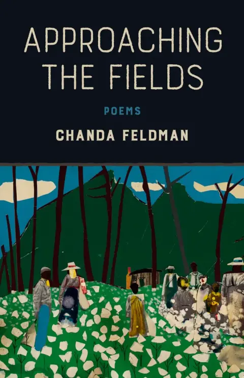 Cover of Approaching the Fields