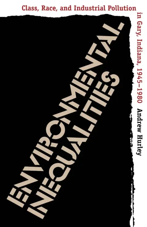 Cover of Environmental Inequalities