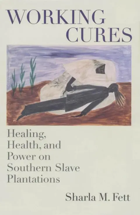 Cover of Working Cures