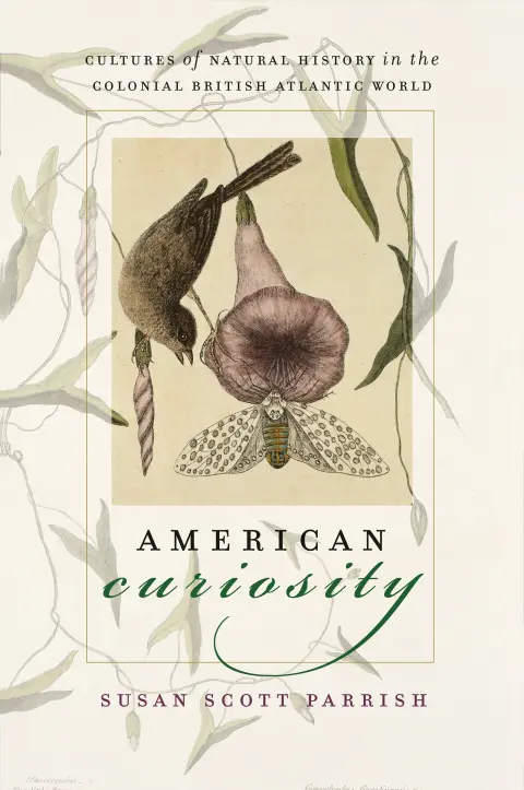 Cover of American Curiosity