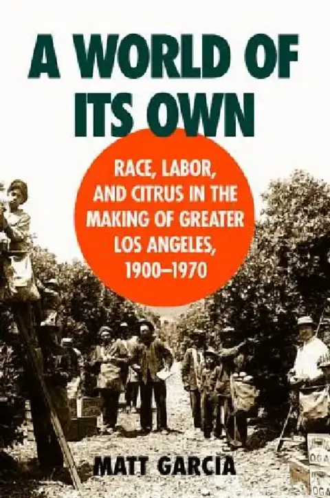 Cover of A World of Its Own