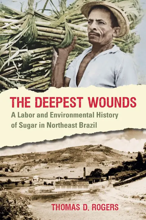 Cover of The Deepest Wounds