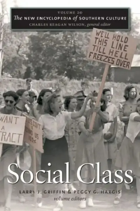 Cover of The New Encyclopedia of Southern Culture