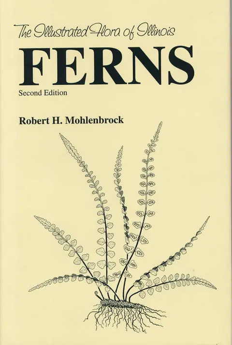 Cover of Ferns