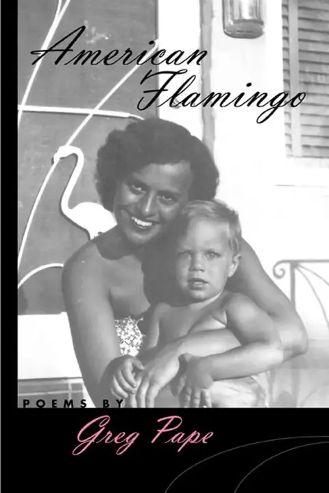 Cover of American Flamingo