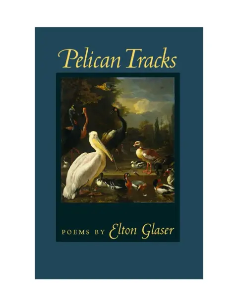 Cover of Pelican Tracks
