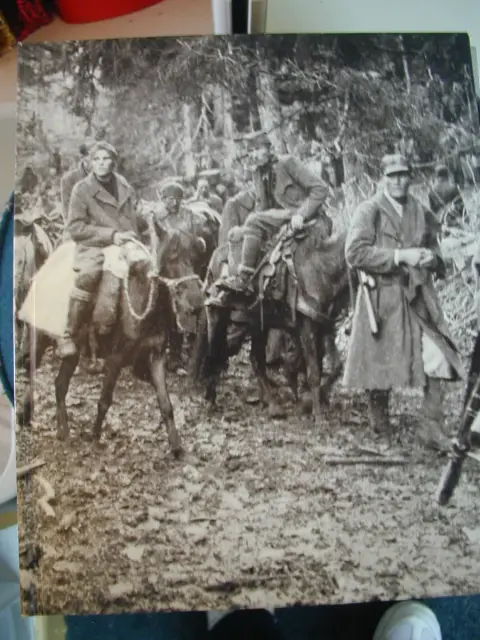 Cover of Partisans and Guerrillas
