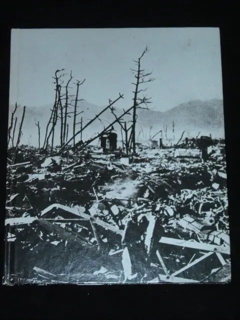 Cover of The fall of Japan
