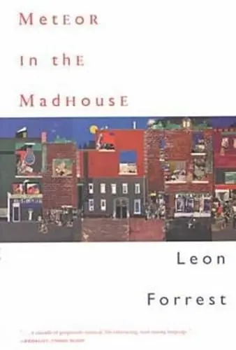 Cover of Meteor in the Madhouse