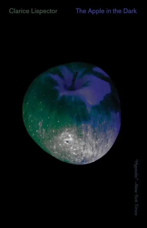 Cover of The Apple in the Dark