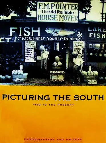 Cover of Picturing the South