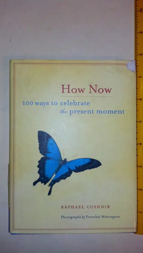 Cover of How Now