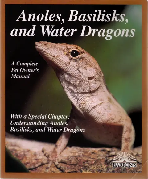 Cover of Anoles, Basilisks and Water Dragons