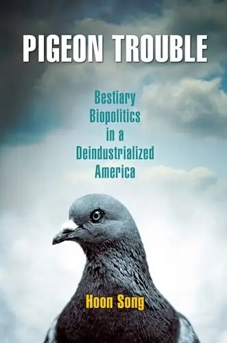 Cover of Pigeon Trouble