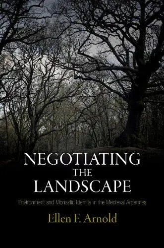 Cover of Negotiating the Landscape