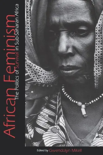 Cover of African Feminism
