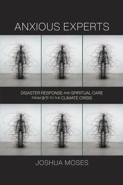 Cover of Anxious Experts