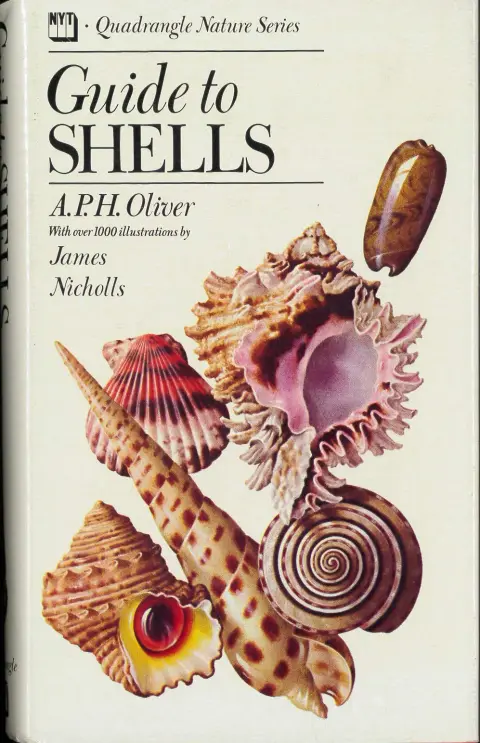 Cover of Guide to shells