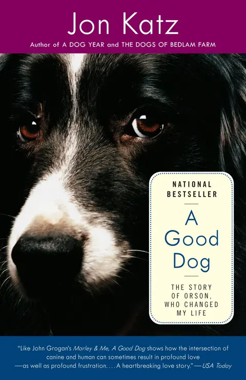 Cover of A Good Dog