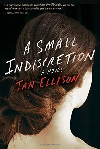 Cover of A Small Indiscretion
