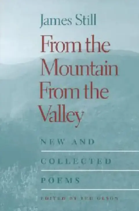 Cover of From the Mountain, from the Valley