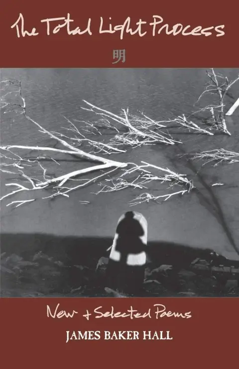Cover of The Total Light Process