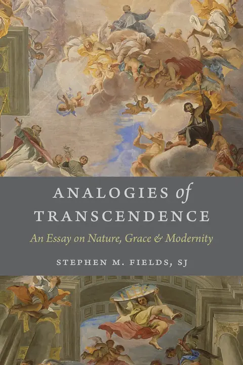Cover of Analogies of Transcendence