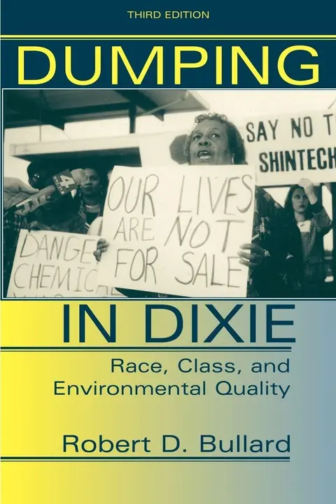 Cover of Dumping in Dixie