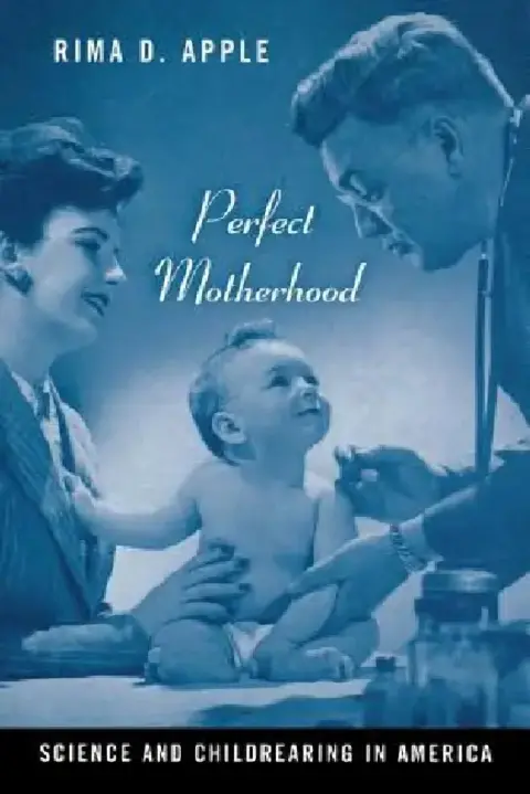 Cover of Perfect Motherhood