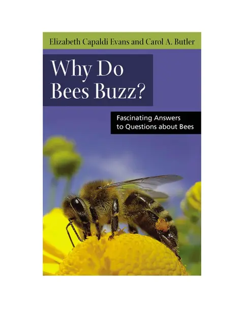 Cover of Why Do Bees Buzz?