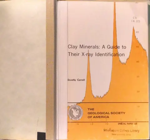 Cover of Clay minerals