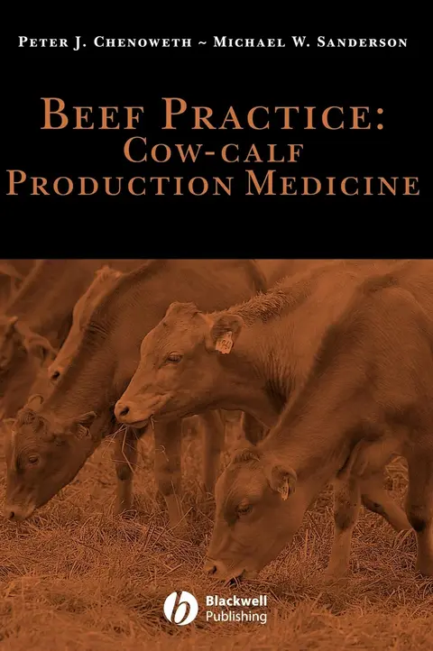 Cover of Beef Practice