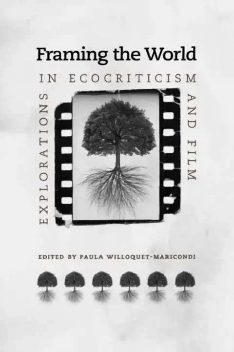 Cover of Framing the World